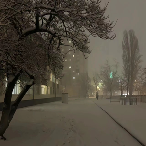 舌乚子伦熟妇αv高清大图
