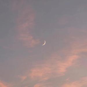 舌乚子伦熟妇αv高清大图
